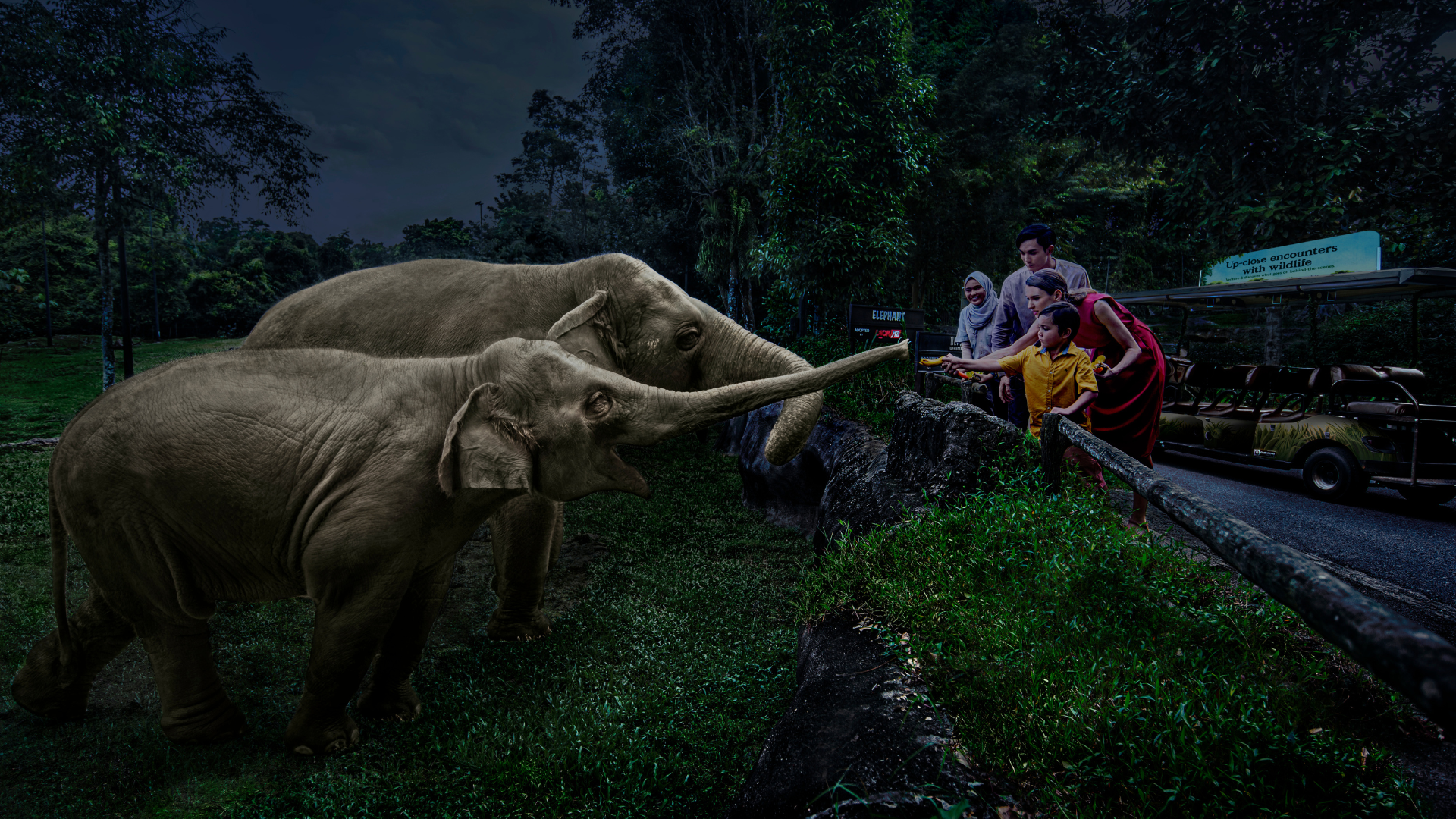 Stay at Mandai Rainforest Resort by Banyan Tree and discover the wild after dark at Night Safari. 